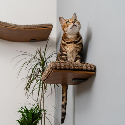 Cat Wall Shelf