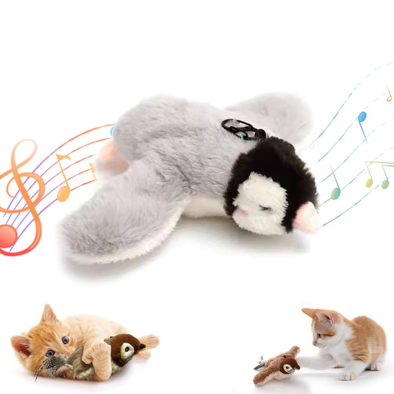 Bird Cat Toy