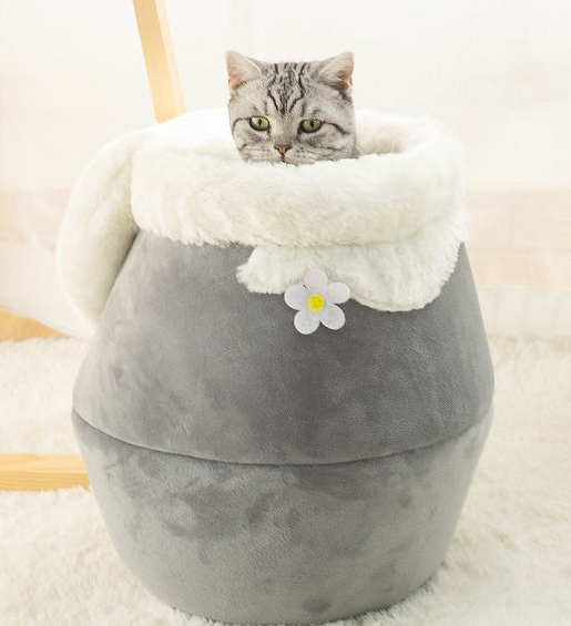 Winter Cat House