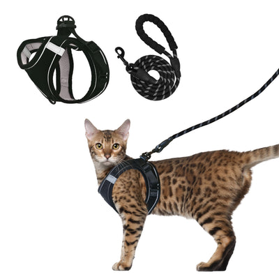 Cat Leash & Harness